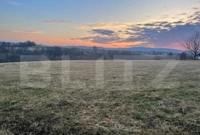 Teren de 27759 mp, în Central - 3