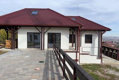 Proprietate multifuncțională sub pădure – locuință principală + spațiu de relaxa - 12