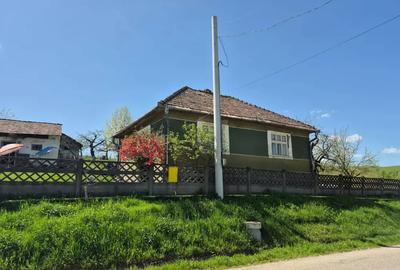 Casa ?araneasca autentica, teren generos ?i multe facilita?i. - 9