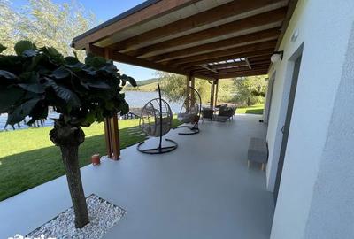 Casă cu 6 camere cu Teren 2530 Mp în Geaca - 4