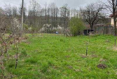 Teren de 2300 mp, în Valea Lungă - 8