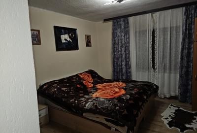 Casa la tara cu 3 camere suprafata utila 120mp, Suplacu de Tinca Bihor - 14
