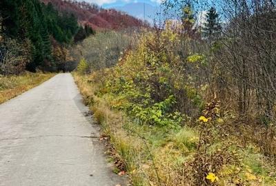 Teren 4,877mp Mara / Strada Principala - 1