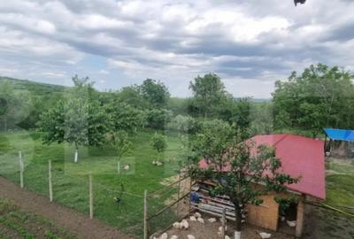 Casă cu 4 camere cu Teren 1800 Mp în Central - 13