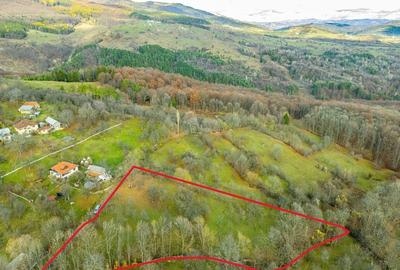 Teren Construcții intravilan de 4384 mp, în Talea - 5