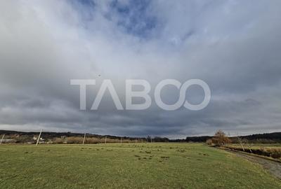 Teren intravilan de vanzare in Rasinari zona Calinis - 890 mp - 3