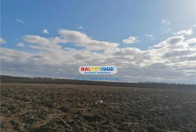 Teren de 8800 mp, în Snagov - 5