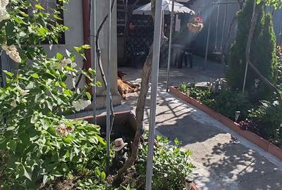 Casă cu 3 camere în Anda - 2