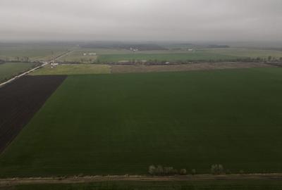 Teren 84000 mp la 20 km de Arad, la DN79 - 2