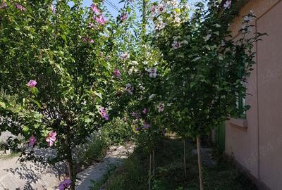 Casă cu 2 camere cu Teren 466 Mp în Cerna - 8