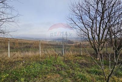 Teren extravilan de 10791 mp, în Fălticeni - 12