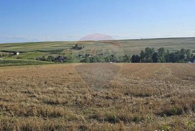 Teren de 7500 mp, în Moara - 17