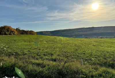 Teren de 5487 mp, în Sânmartin - 3