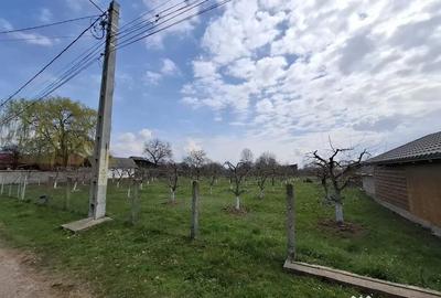 Teren de 2000 mp, în Răucești - 3