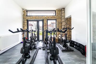 Spațiu comercial, de 420 mp, în Colonia Bod - 9