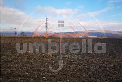 De vanzare in Gherla, Strada Hasdatii, 22.967mp - 1