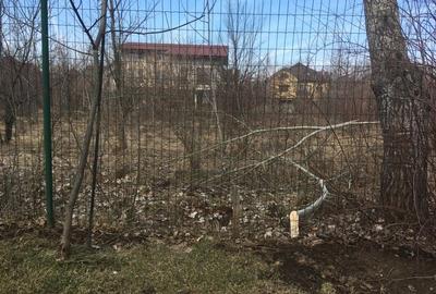 Teren Construcții intravilan de 1100 mp, în Băneasa - 1