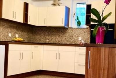 Vila 5 camere Decebal - Piata Alba Iulia- finisaje premium - 22