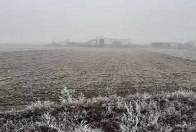 Teren de 6500 mp, în Tărtășești