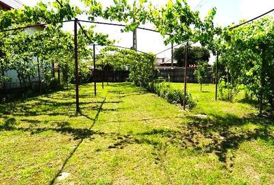 Casă cu 3 camere cu Teren 800 Mp în Teiș - 4