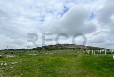 RECO teren de in zona Betfia - 4