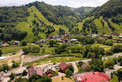 Tu 3D! Pensiune in areal pretios, Moieciu, Bran, Brasov - 22