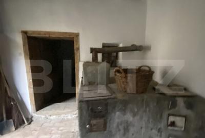 Casa cu anexe ?i 40 ari de gradina Casa cu anexe ?i 40 ari de gradina - 12