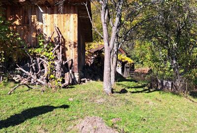 Teren extravilan in localitatea Bulz - 10