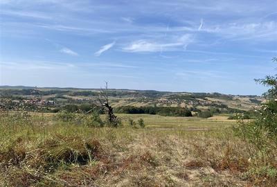 Teren extravilan de vanzare in Tileagd - 3166 mp cu panorama superba - 3