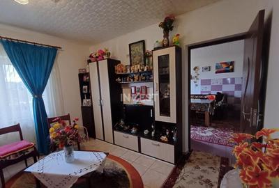 Casa 3 Camere, beci, magazie, mansarda 500 mp Teren - 17