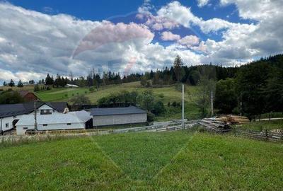 Teren 4397 mp Intravilan Manastirea Humorului / Lunga Buc... - 10