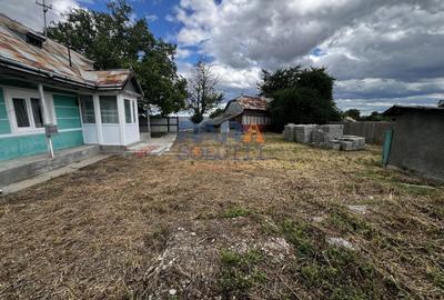 Casă cu 3500 mp teren, Sat Miron Costin - Brănișteni (str. Macilor) - 6