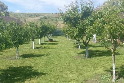 Vand casa Cepe?ti, com. Bogdanita, jud Vaslui - 2