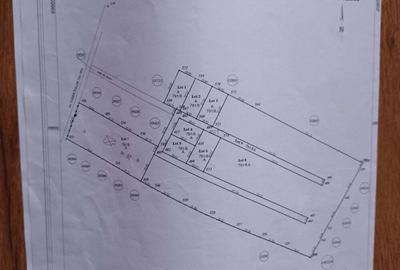 Teren de 700 mp, în Cătămărești - 8
