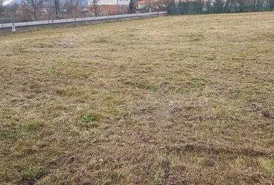 Casă cu Teren 6400 Mp în Zam - 4