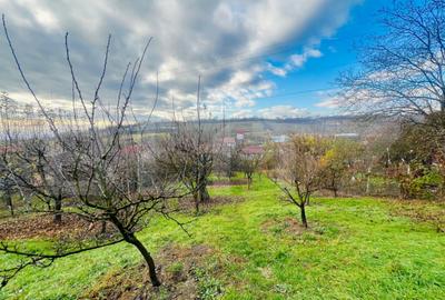 Teren intravilan, 723 mp, in Turda - 3