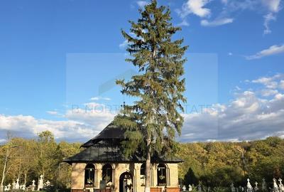 Casă în Central - 3