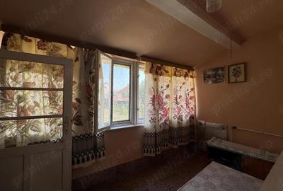 Oferta: casa mare Salonta Oferta: casa mare Salonta - 5