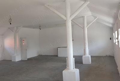 Spațiu comercial, de 250 mp, în Moșnița Nouă - 5