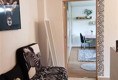 Garsonieră decomandată, mobilată în Bucovina - 14