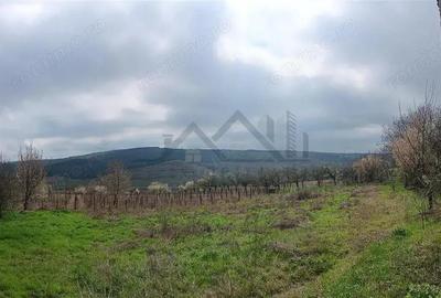 Teren de 46000 mp, în Dorobanț - 11