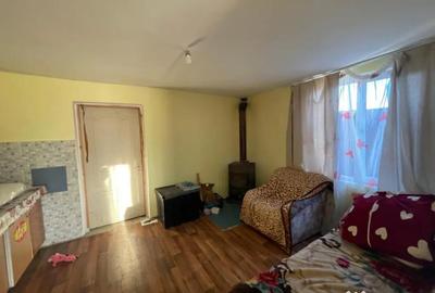 Casă cu 2 camere cu Teren 2751 Mp în Lucăcești - 13