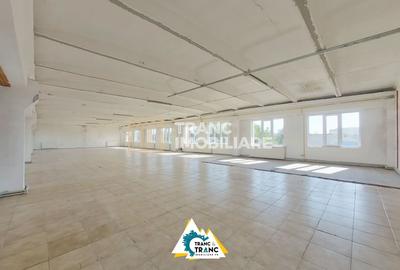 Birou, de 460 mp, în Sânnicolau Mic - 13