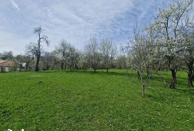Teren de 3500 mp, în Ghioșești - 10