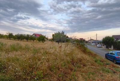 Teren Construcții intravilan de 10000 mp, în Păulești - 5