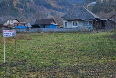 Casă cu 2 camere în Pârâul Pântei - 4