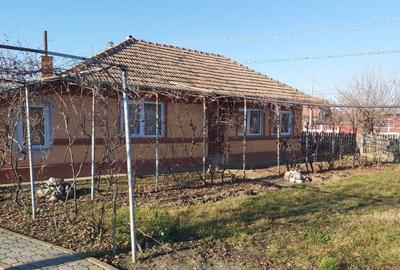 Casa plus teren Andrasesti