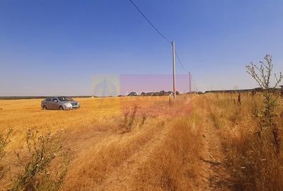 Teren pentru casa/case in Branesti pe strada Toporasi - 9