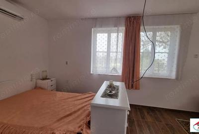 Casă în Viile Satu Mare - 2