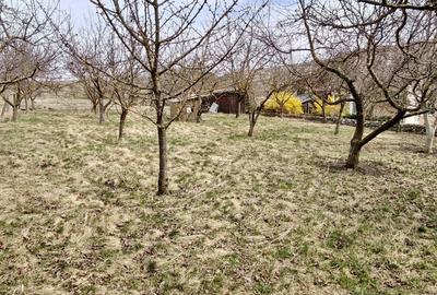 Teren de 1122 mp, în Gheorghieni - 5